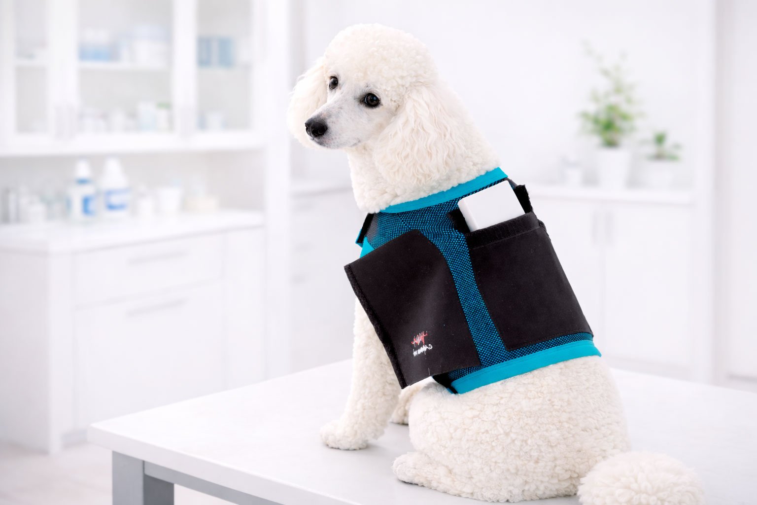 Chaleco-Cardio-Pet-petmed-mexico-2
