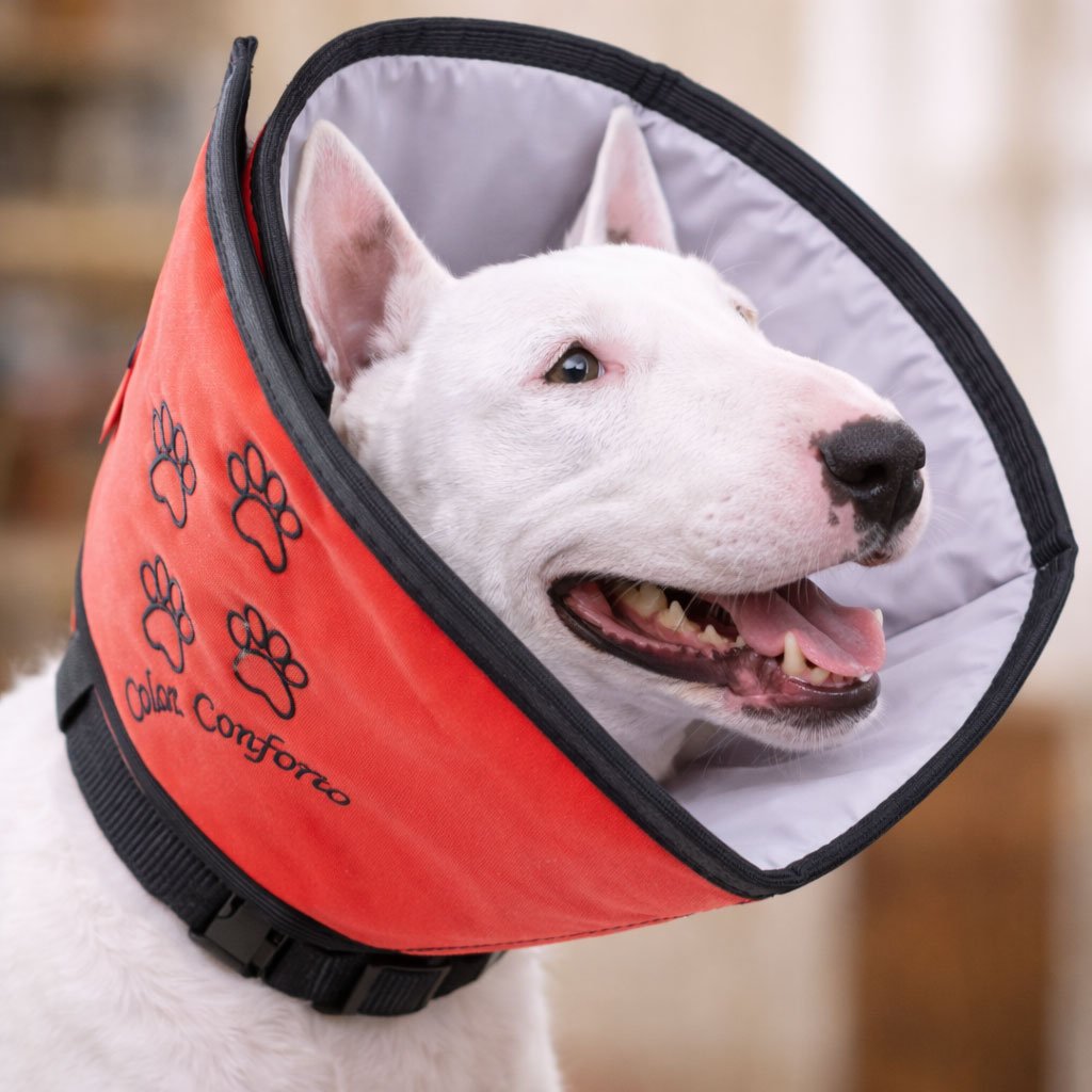 Collar-isabelino-Comfort-para-perro-PetMed-Mexico