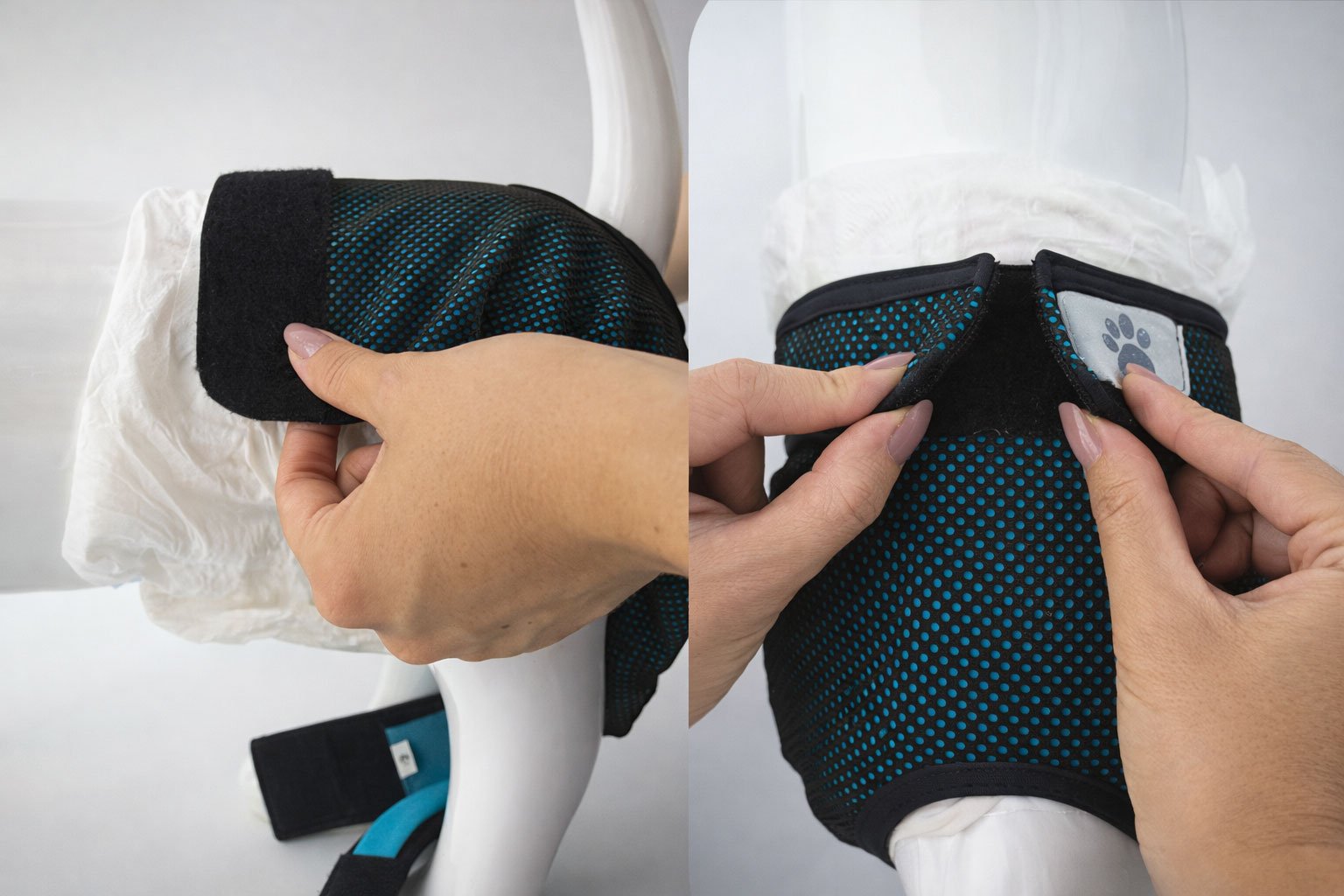 Protector-Higienico-para-perras-1Pet-Med