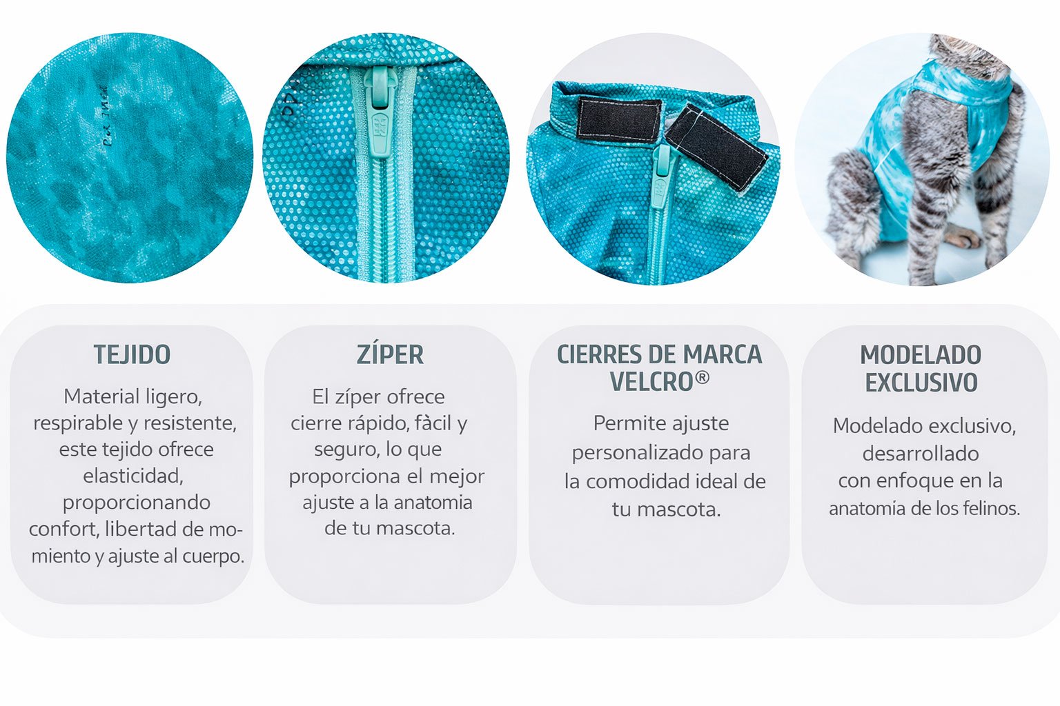 Ropa-postquirurgica-para-gatos-10