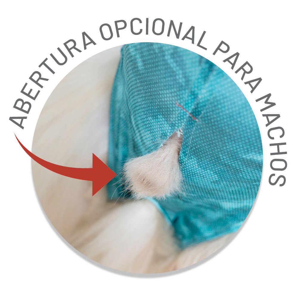 Ropa-postquirurgica-para-perros-03