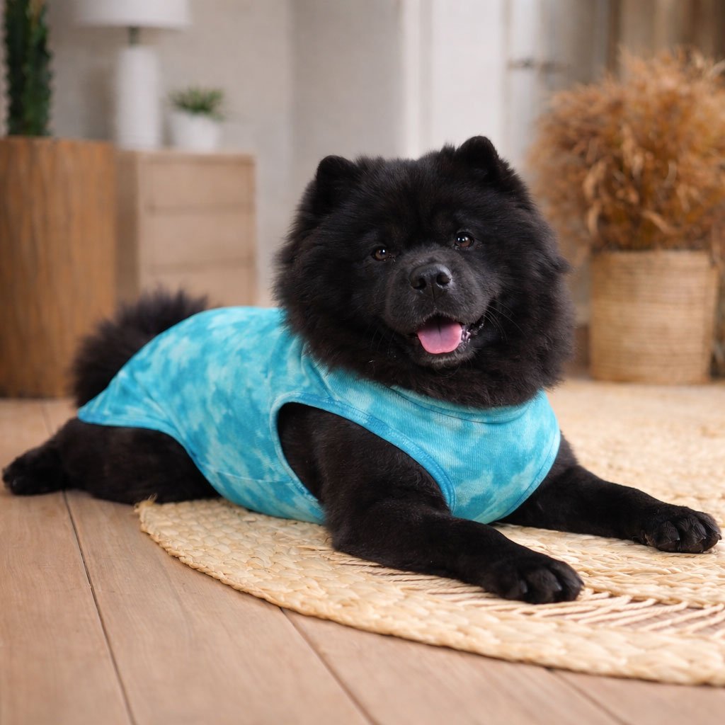 Ropa-postquirúrgica-para-perros-y-gatos-en-México-08