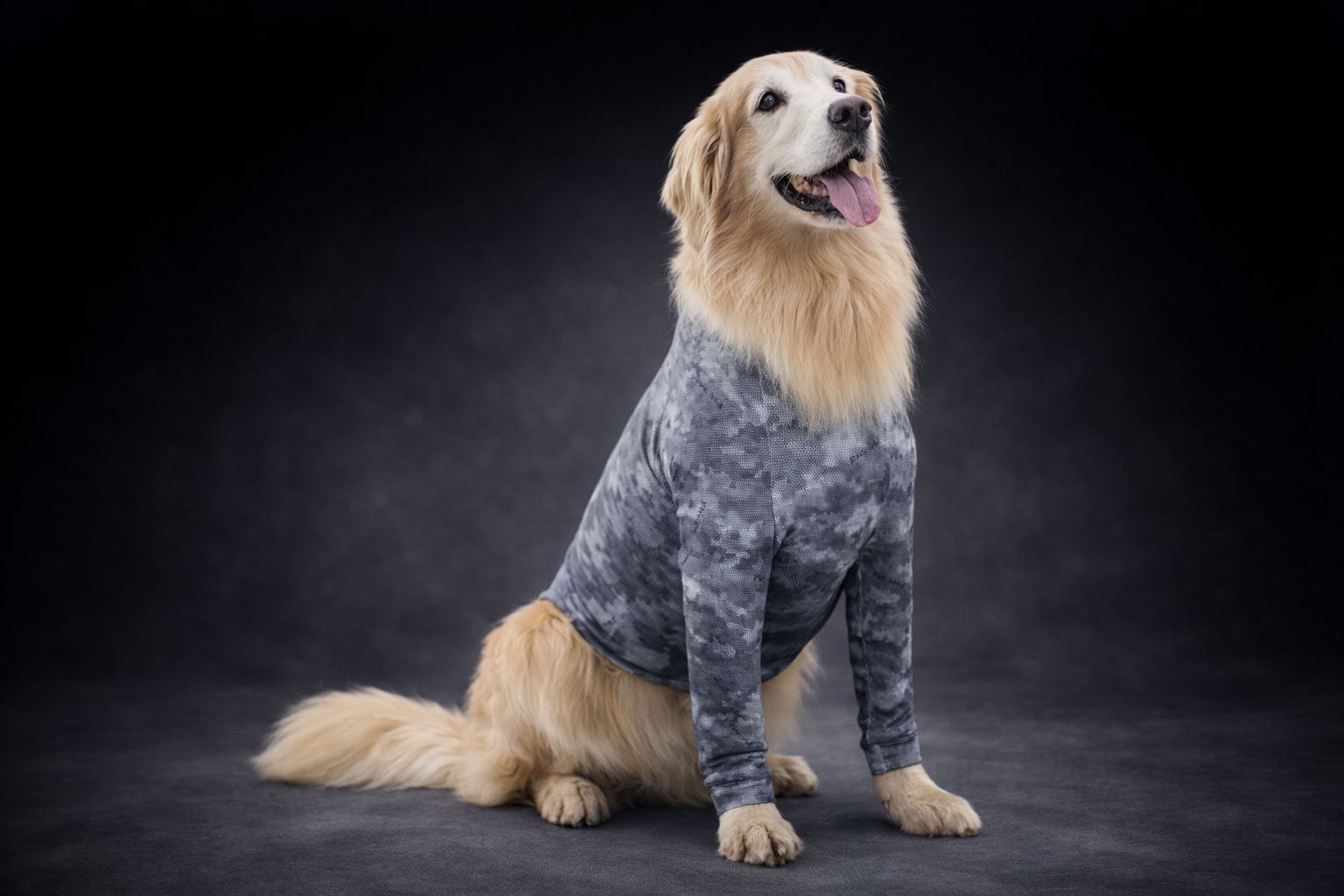 Ropa-postquirúrgica-protector-miembros-anteriores-PetMed-Mexico